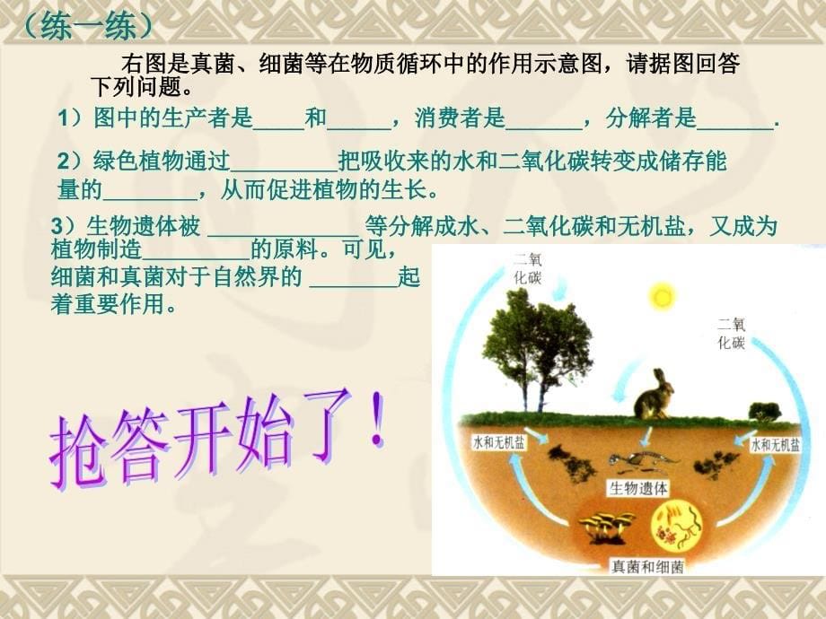 5-5-1细菌和真菌在自然界中的作用正式稿_第5页