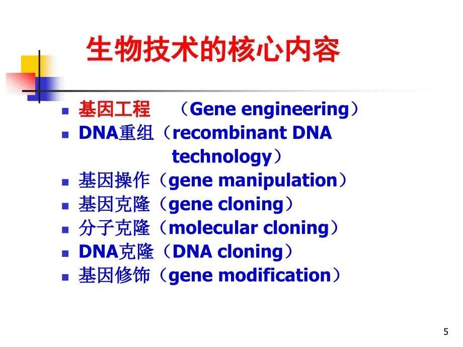916BT第2讲基因工程第1讲概论_第5页