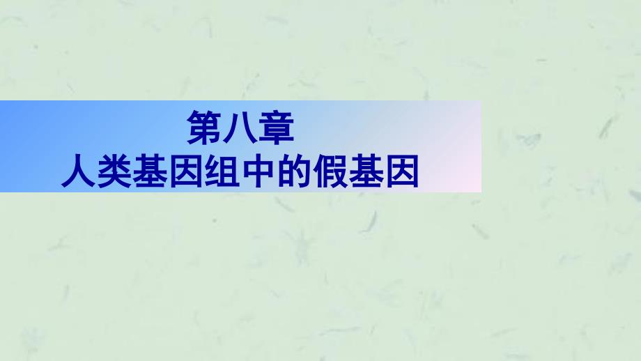 人类基因组中的假基因课件_第1页