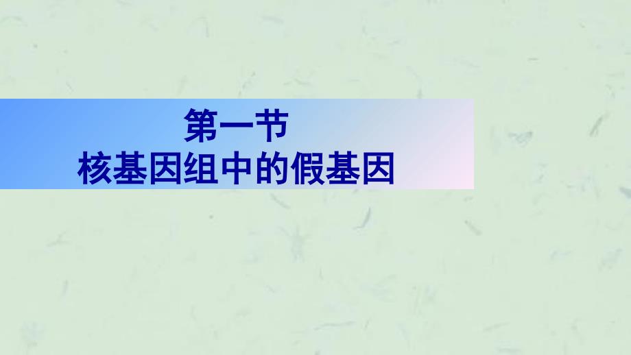 人类基因组中的假基因课件_第2页