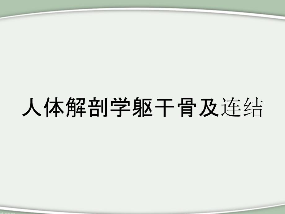 人体解剖学躯干骨及连结_第1页