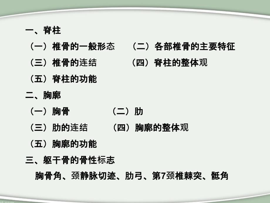 人体解剖学躯干骨及连结_第3页