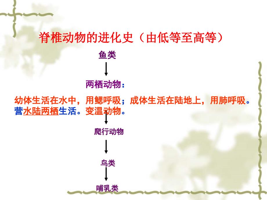 第三节两栖动物的生殖和发育上课用_第4页