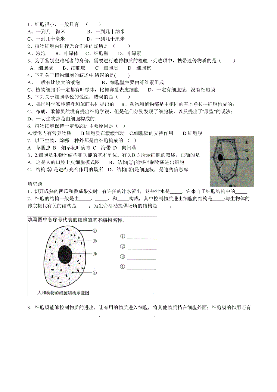 细胞学说与细胞结构讲义_第3页