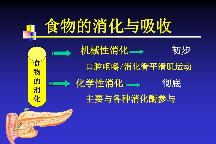 消化酶相关性消化不良与治疗_第2页