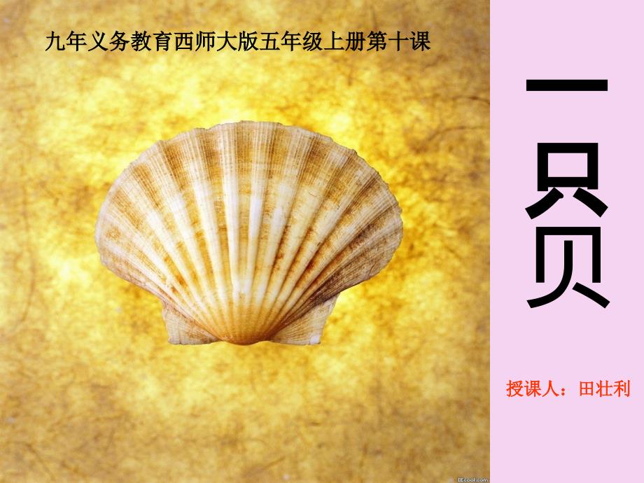 五年级上册语文第10课一只贝西师大版ppt课件_第1页