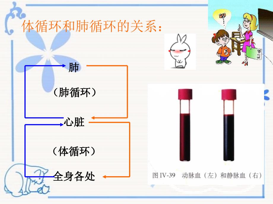 已修：输送血液的泵-心脏(第二课时)课件_第4页