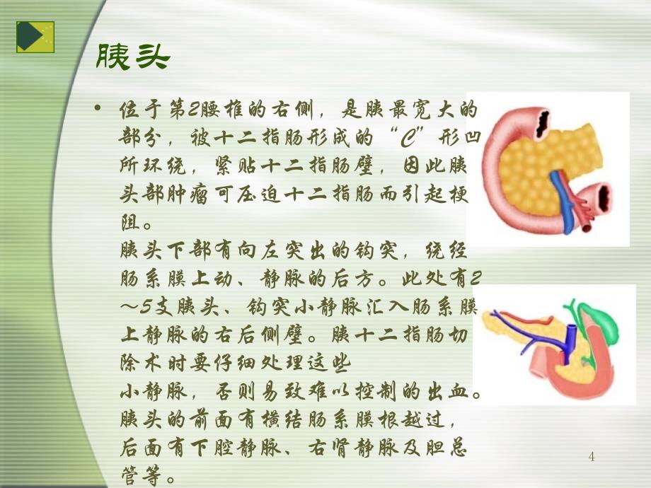 胰腺手术的护理ppt课件_第4页