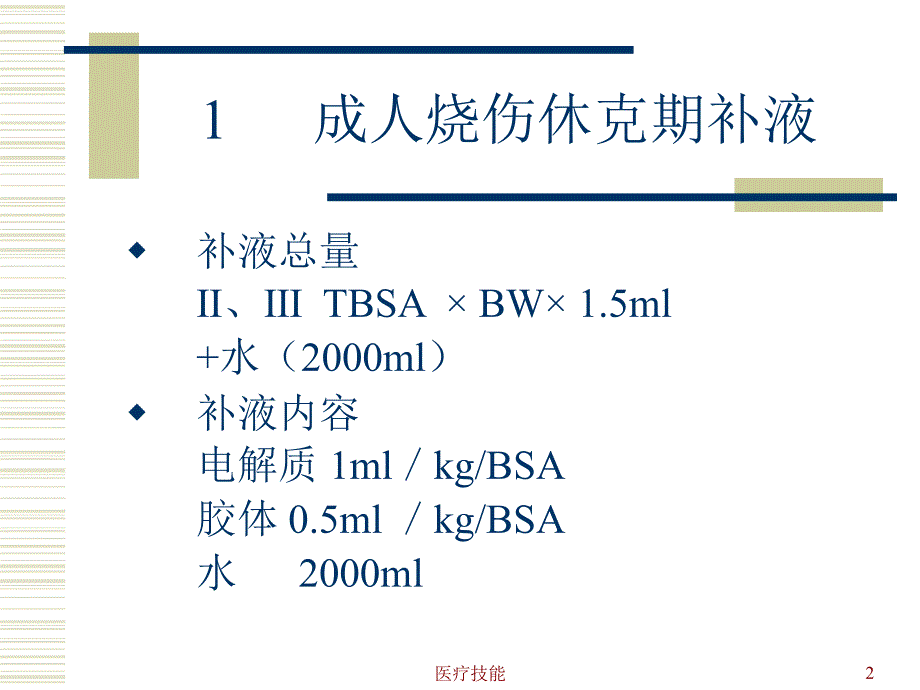 烧伤补液【医学技术】_第2页