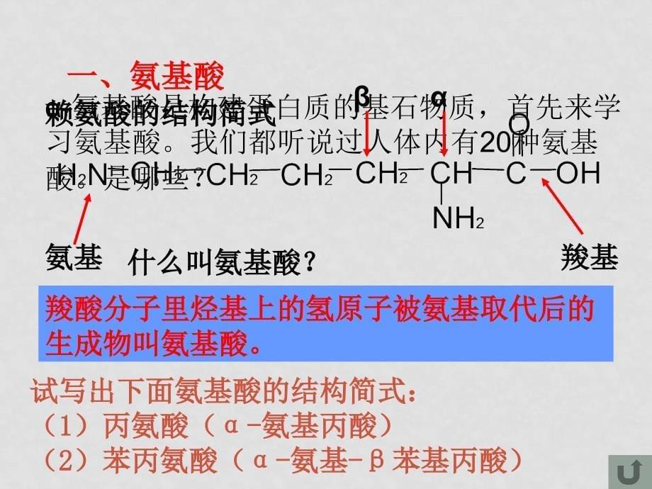 kj7.4g2hxkj7.4《蛋白质》课件_第5页