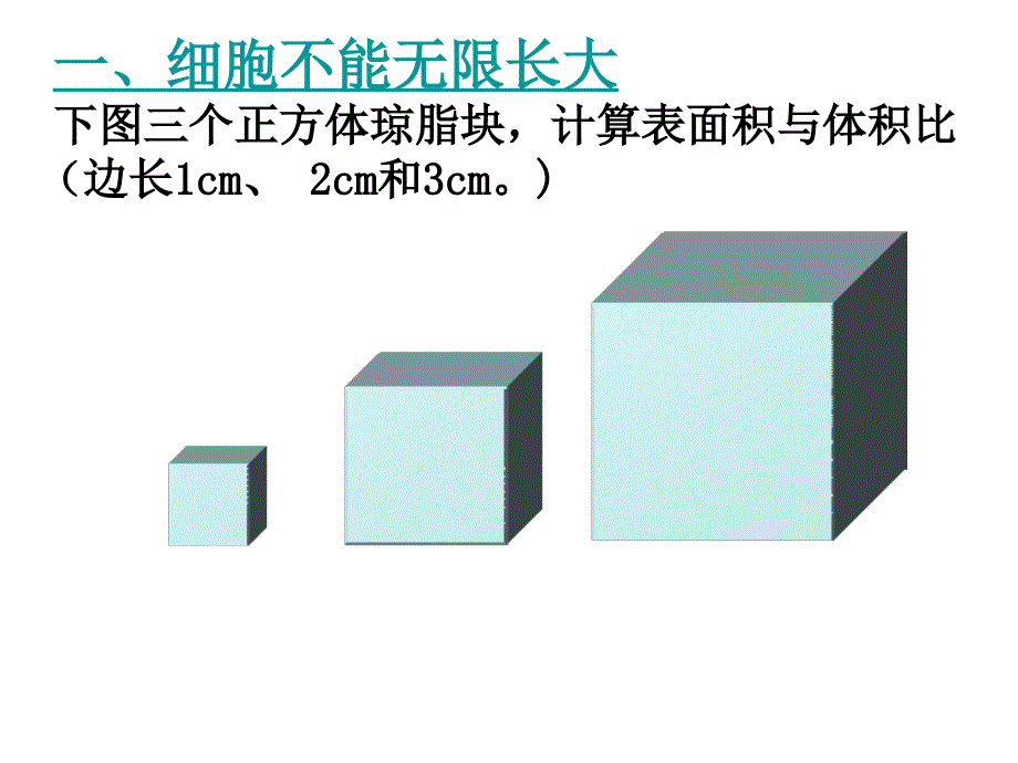 植物细胞的有丝分裂实验及习题(附动画)_第2页