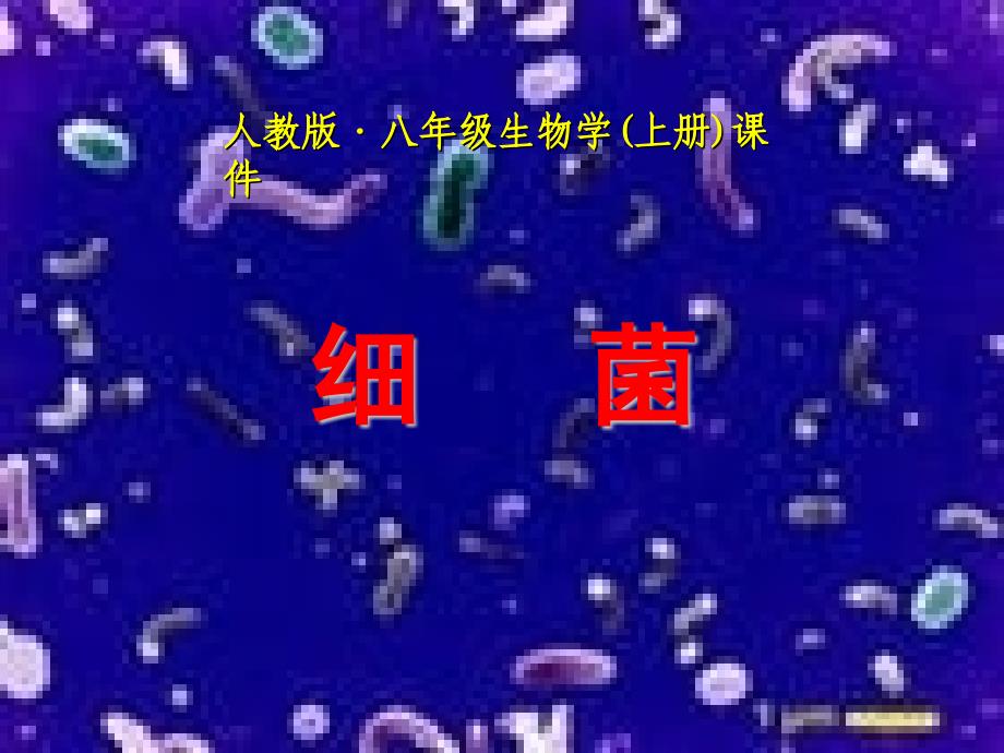 人教版八年级生物学上册课件_第1页