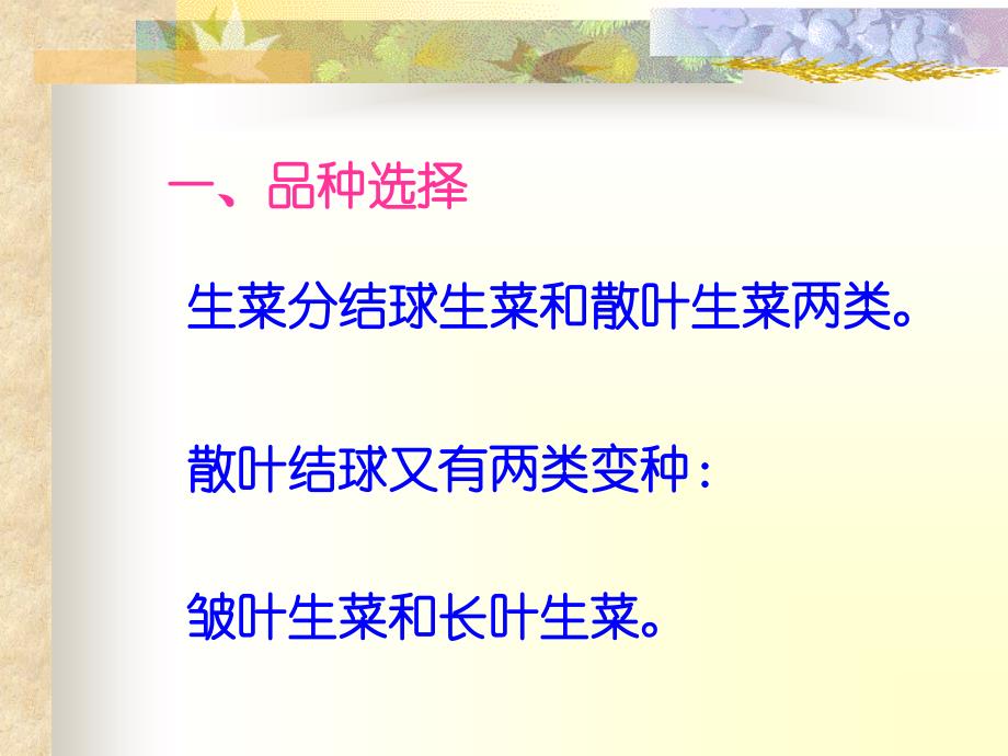 无土栽培学蔬菜无土栽培技术课件_第2页