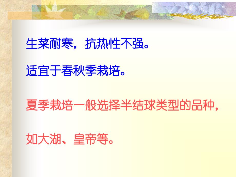 无土栽培学蔬菜无土栽培技术课件_第3页