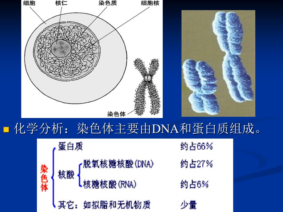 生物必修2课堂教学DNA是主要的遗传物质课件_第3页