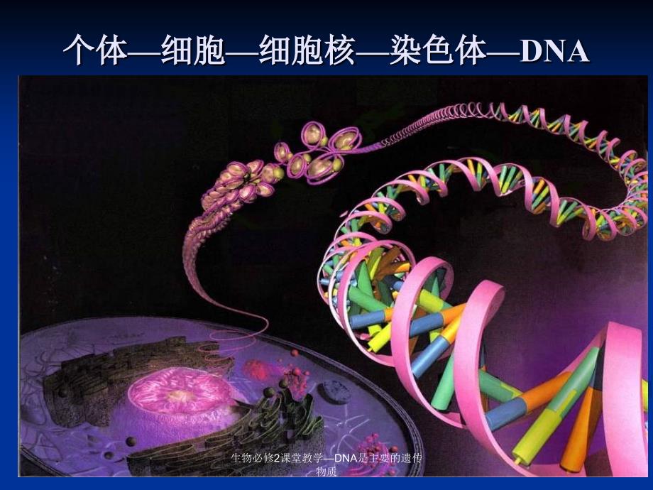 生物必修2课堂教学DNA是主要的遗传物质课件_第4页