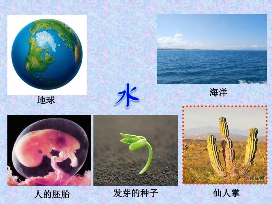 25细胞中的无机物用2_第5页