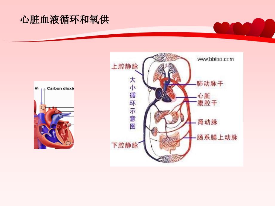 常见心脏病的预防与治疗名师编辑PPT课件_第4页