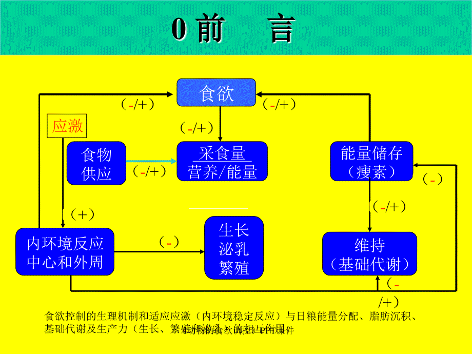 动物的食欲调控课件_第4页