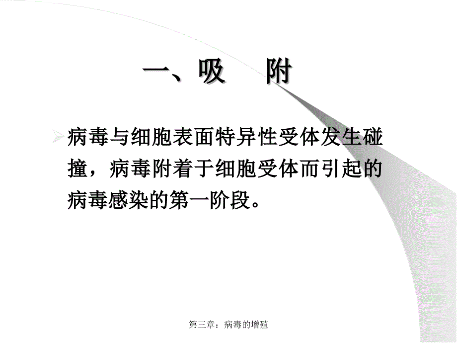 第三章病毒的增殖经典实用_第3页