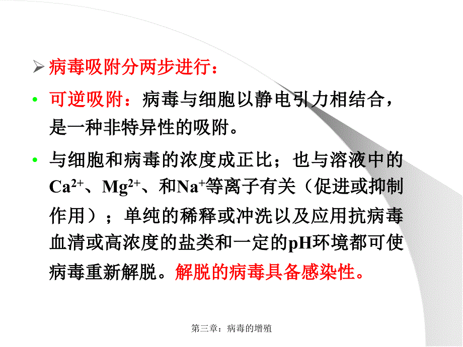 第三章病毒的增殖经典实用_第4页