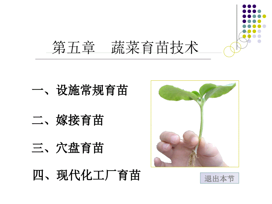 第五章蔬菜育苗技术PPT课件_第1页