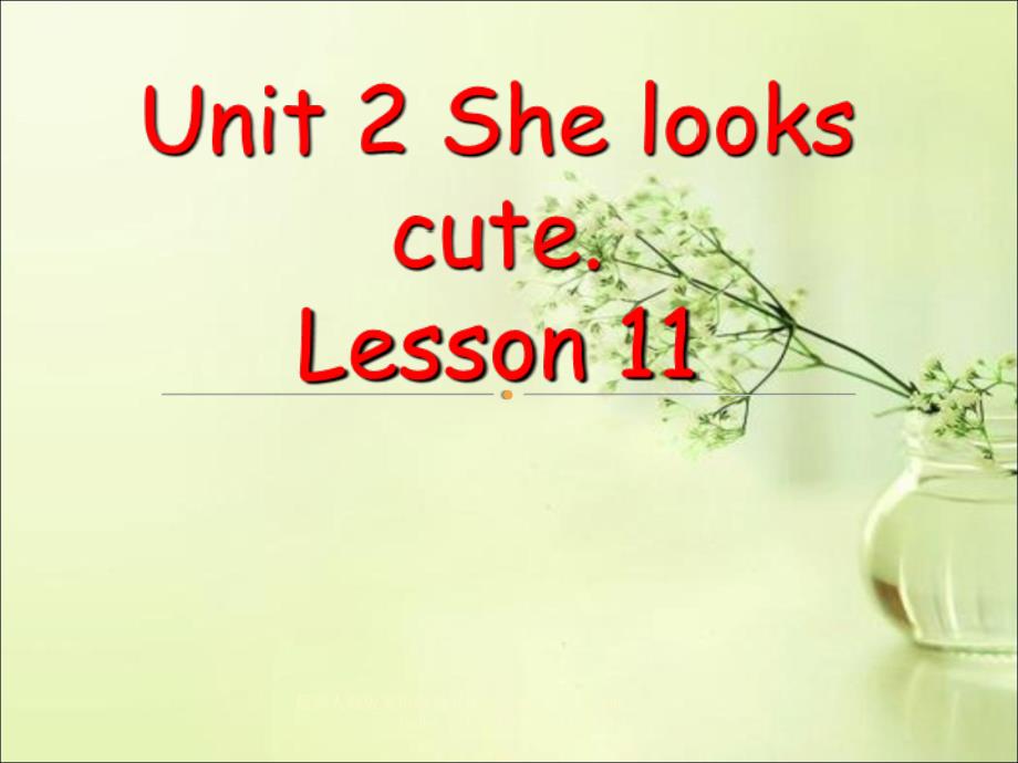 最新人教版英语精通五年级上册Unit2Shelookscute.Lesson11课件2_第1页