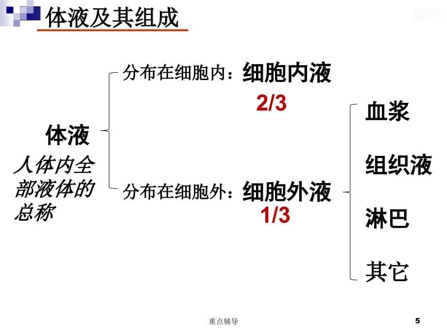 人体的内环境和稳态【重要知识】_第5页