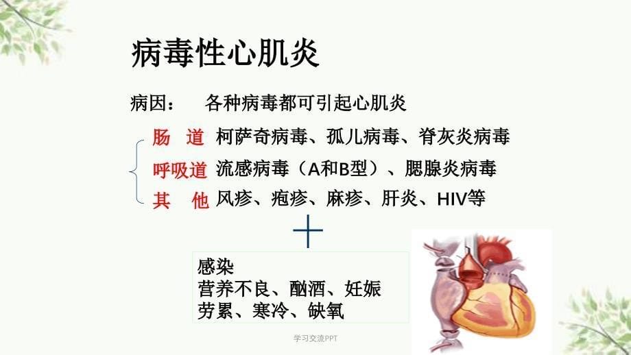 病毒性心肌炎新课件_第5页