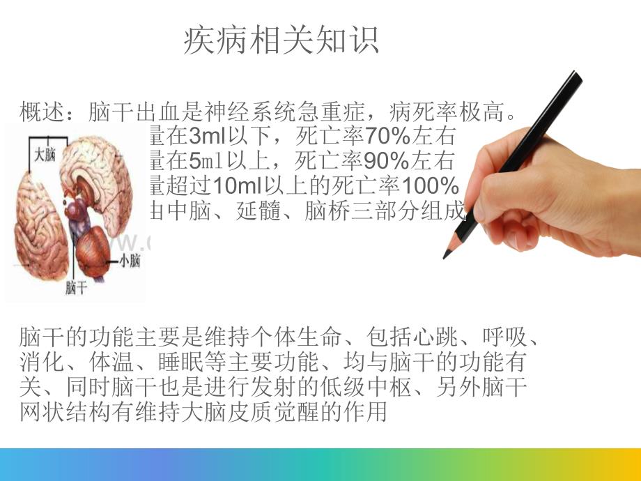 脑干出血护理查房-2月教学文案_第3页