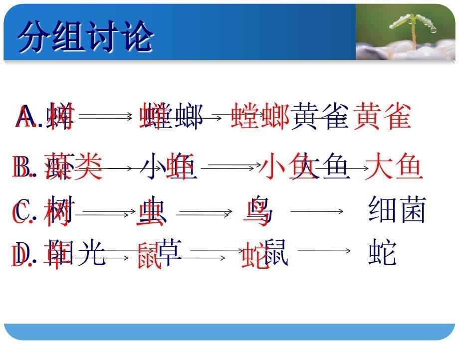 食物链与食物网PPT课件_第5页