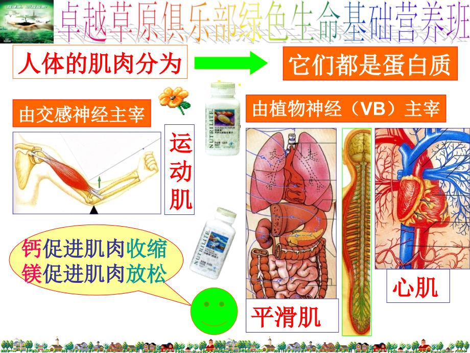 绿色生命基础营养师研习班_第3页