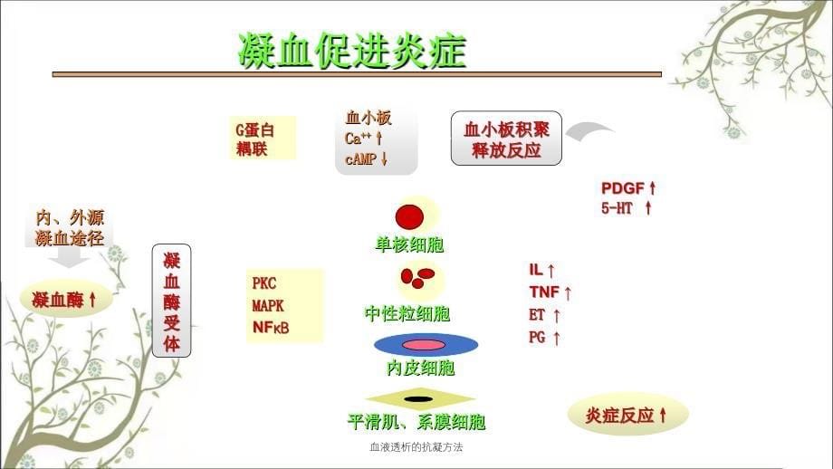 血液透析的抗凝方法_第5页