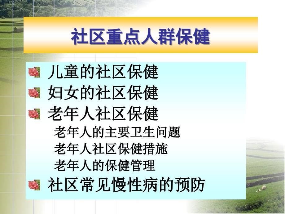 以社区为基础的健康照顾new第四讲1_第5页