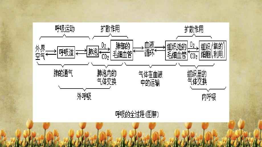 呼吸困难患者的紧急护理精选_第3页