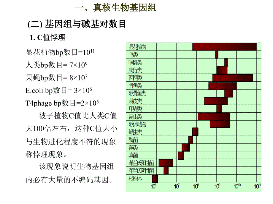 真核生物遗传4课时_第4页