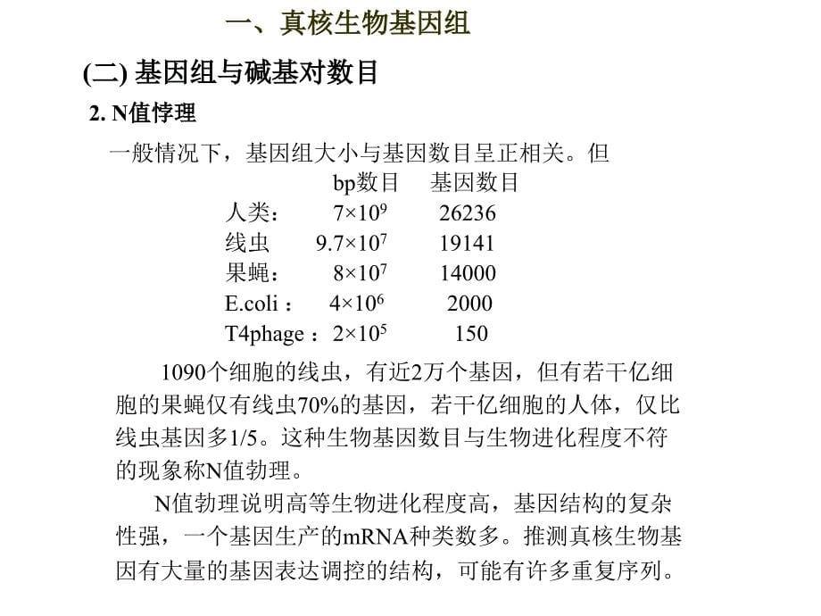 真核生物遗传4课时_第5页