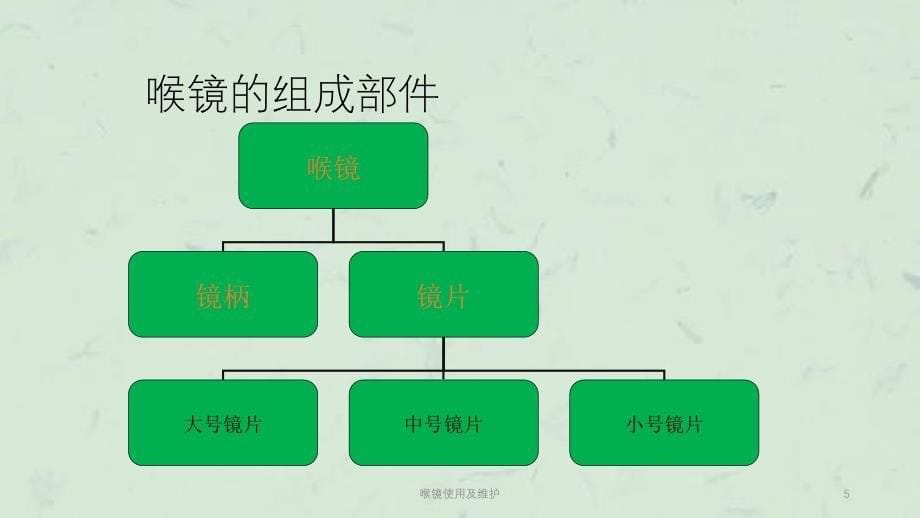 喉镜使用及维护课件_第5页