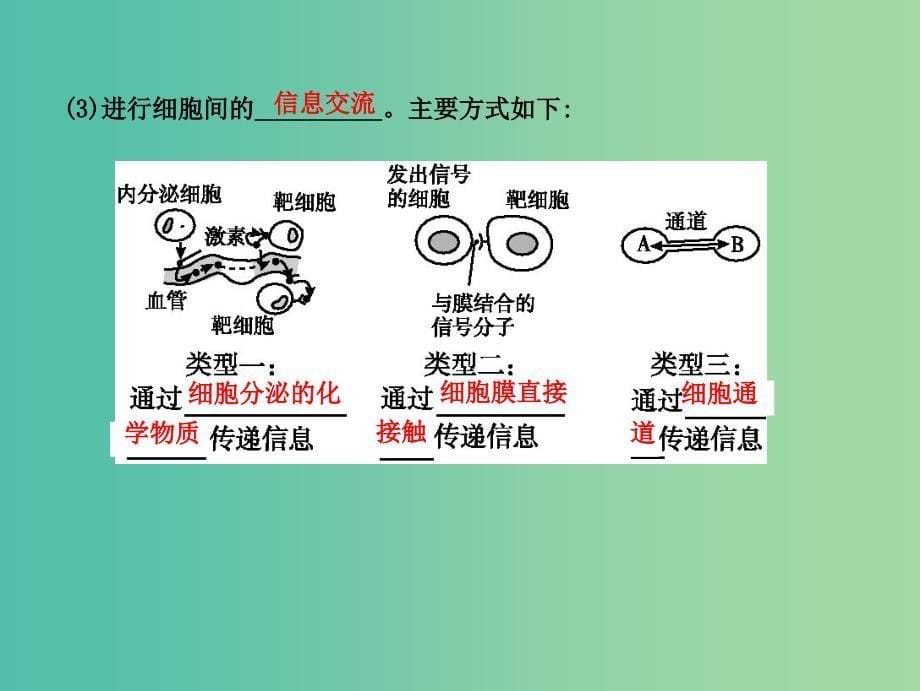 高中生物第二单元细胞的基本结构与物质的输入和输出第5讲细胞膜与细胞核课件.ppt_第5页