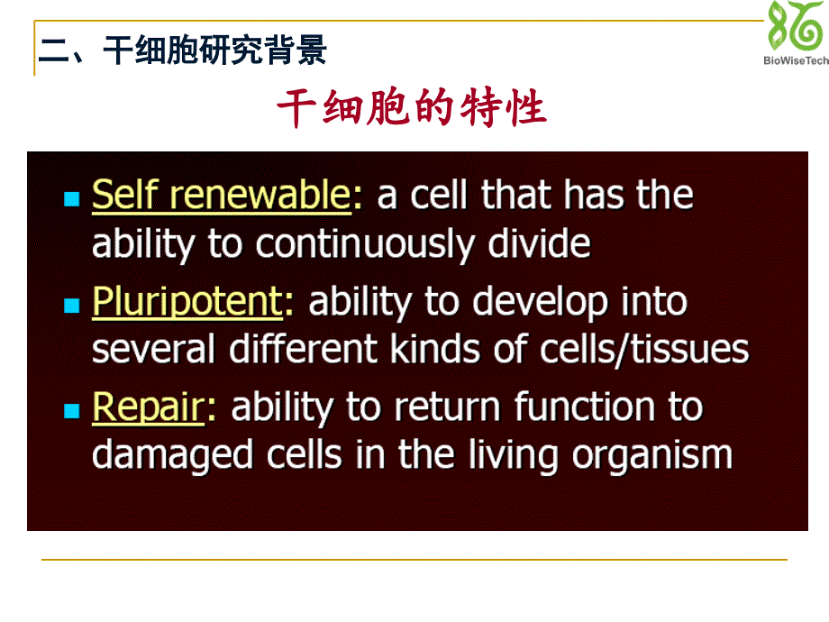 干细胞及免疫细胞技术佰通生物.ppt_第3页