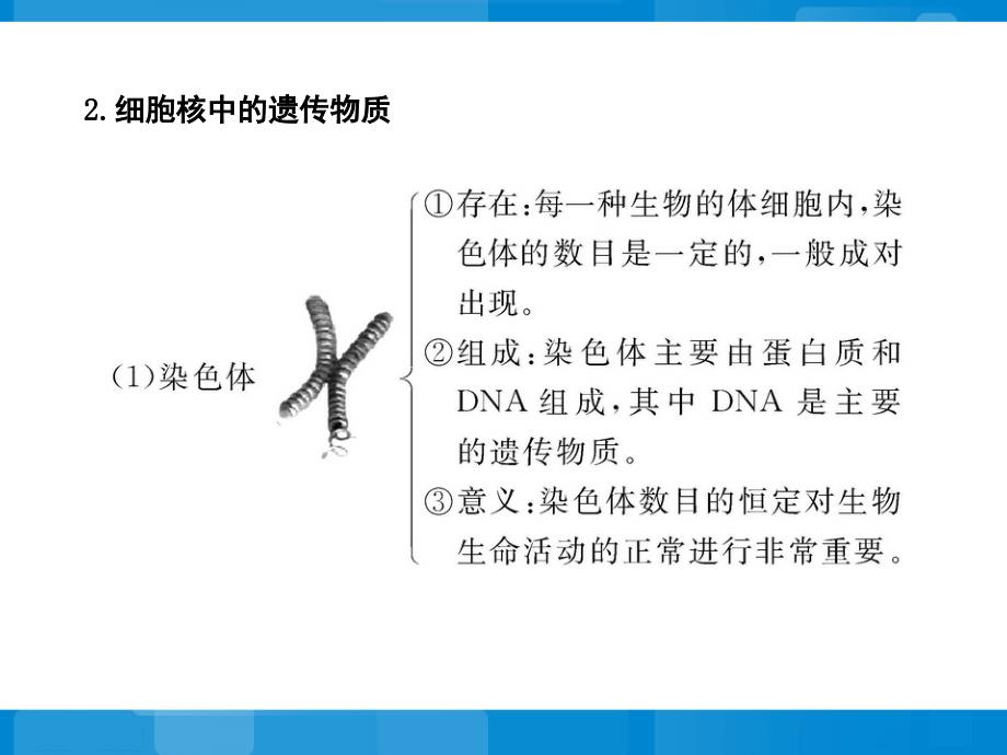 苏教版八年级下册生物第二十二章生物的遗传和变异阶段复习课参考PPT课件_第3页