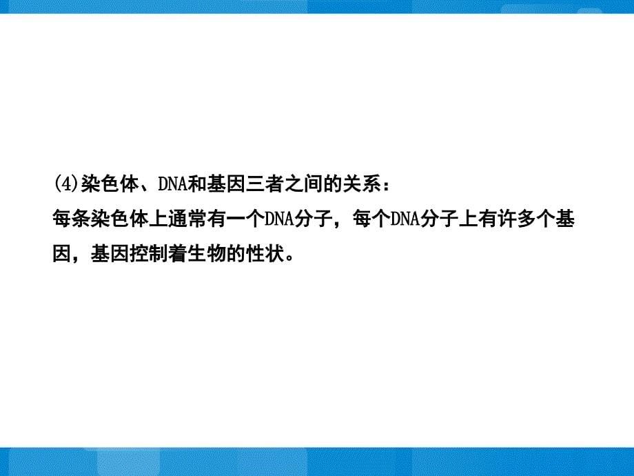 苏教版八年级下册生物第二十二章生物的遗传和变异阶段复习课参考PPT课件_第5页