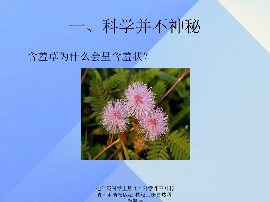 最新七年级科学上册1.1科学并不神秘课件4浙教版浙教级上册自然科学课件_第3页