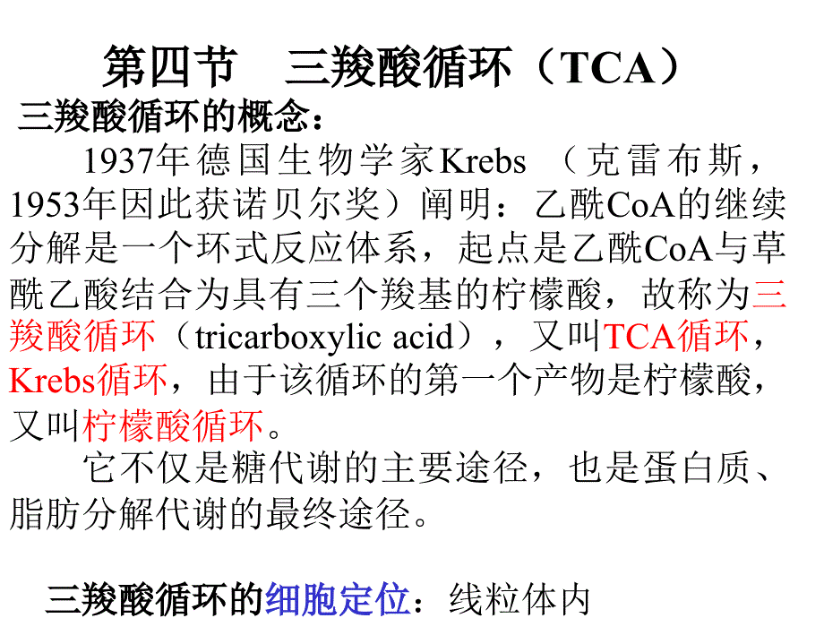 三羧循环(TCA)_第1页