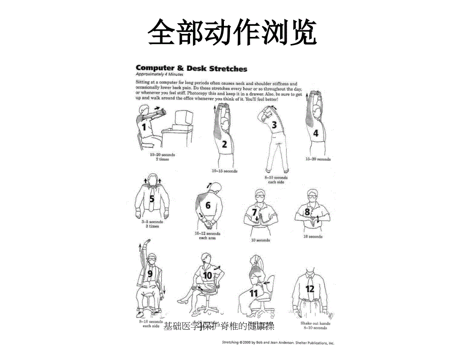 基础医学保护脊椎的健康操课件_第2页