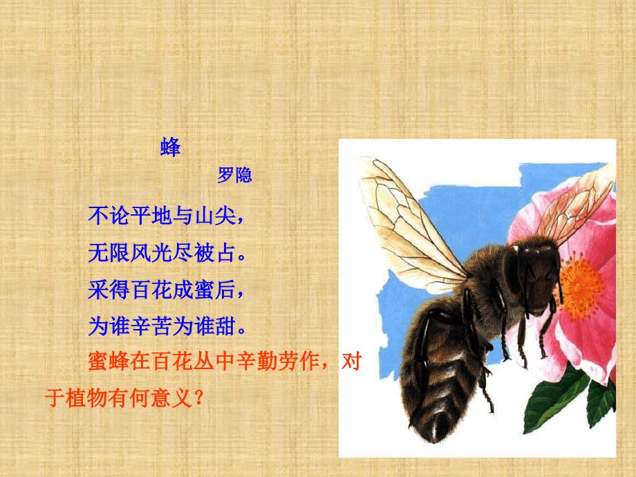 初中八年级生物上册第四单元第二节传粉与受精名师优质课件新版济南版_第4页