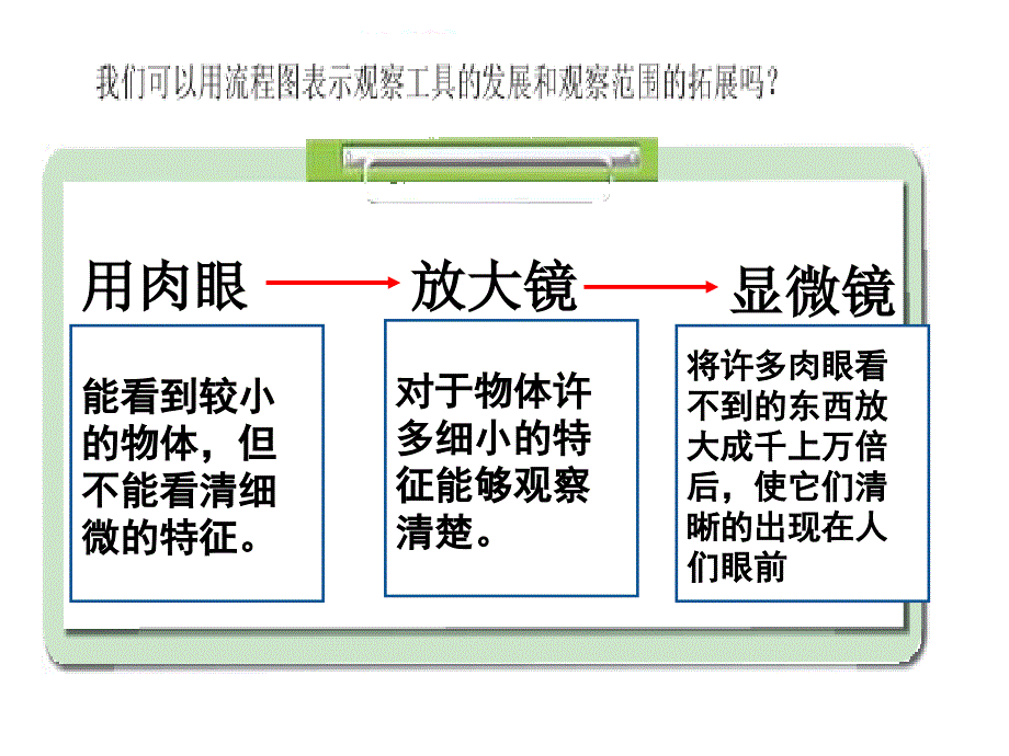 鼠疫结核病败血病霍乱痢疾.ppt_第3页