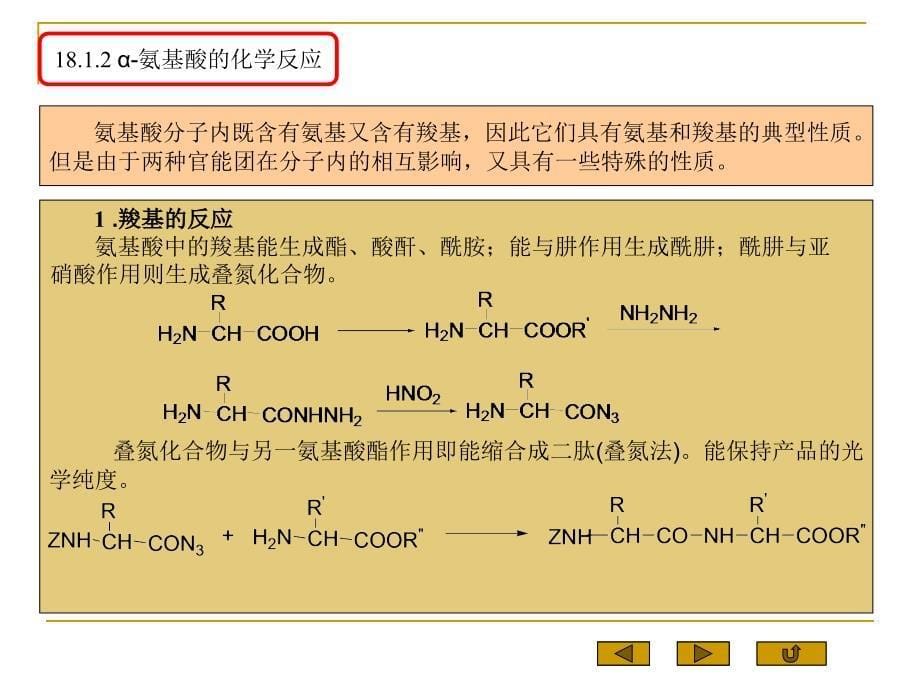 第18章氨基酸多肽蛋白质_第5页