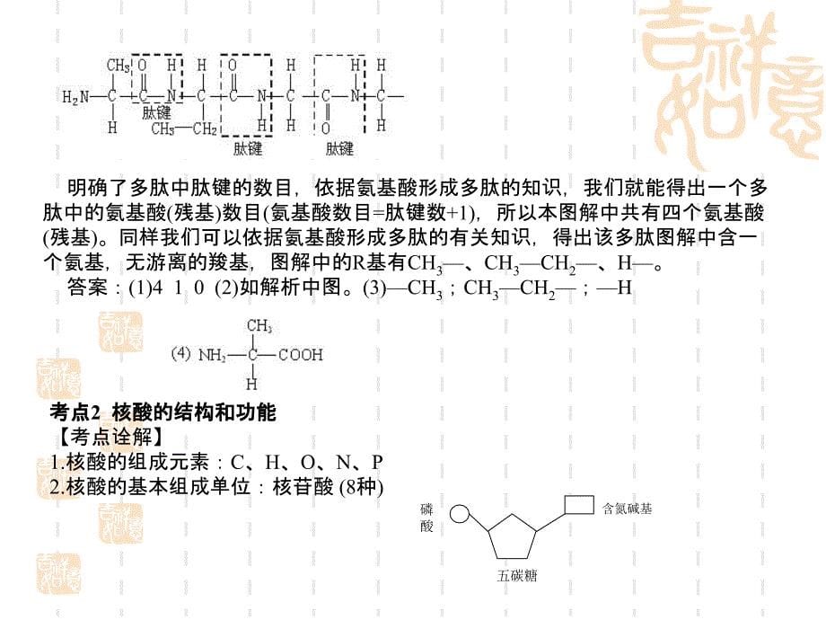 高中生物学业水平测试课件_第5页