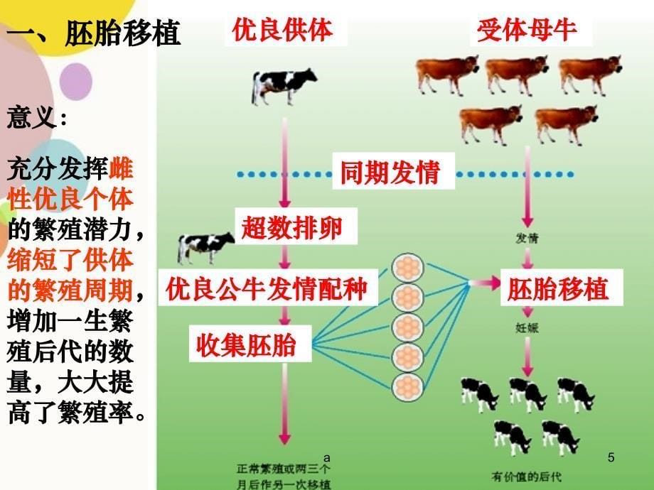 胚胎工程的应用及前景3_第5页